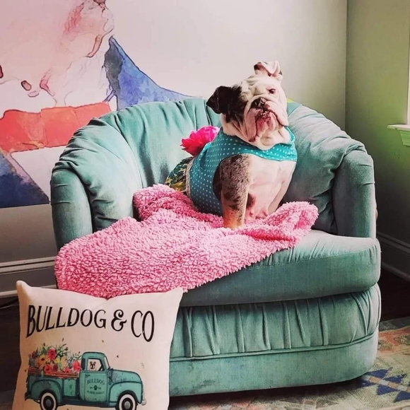 Meet your Posher, Kristina - Picture 4 of 4